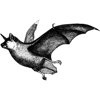 MH Intellect  profile picture