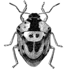 synaworldclothing764 profile image