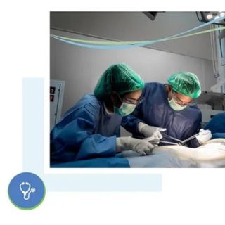 gynaecology and oncology profile picture