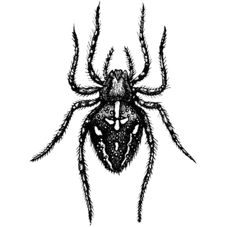 Singh profile picture