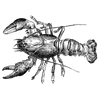 coleson profile image