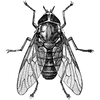 okxreferralcode777 profile image