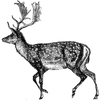 erexivakapsler profile image