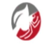 Enviro Safe Pest Control profile picture