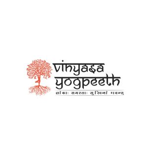 vinyasa yogpeeth profile picture