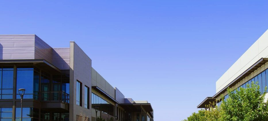 Cover image for Custom Landscape Design in Colleyville | Limitless Landscaping TX