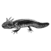 wevagi2417 profile image