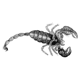 AOQFGTxG profile picture