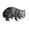 masonwilder01 profile image
