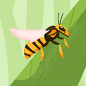 Safta Bee uk profile picture