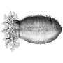rimzkaur4 profile