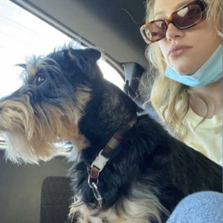 Aubree Haven profile picture