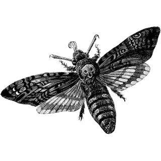 nyjacket profile picture