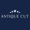 antiquecut10 profile image