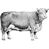 ditec90990 profile image