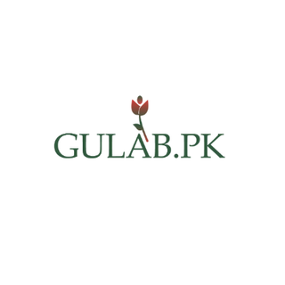 Gulab Pakistan profile picture